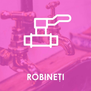 Robineți