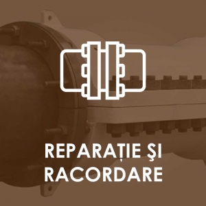 Reparație și racordare